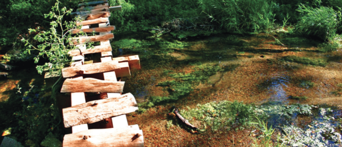 Walking on Water: Essays for the Central Sands